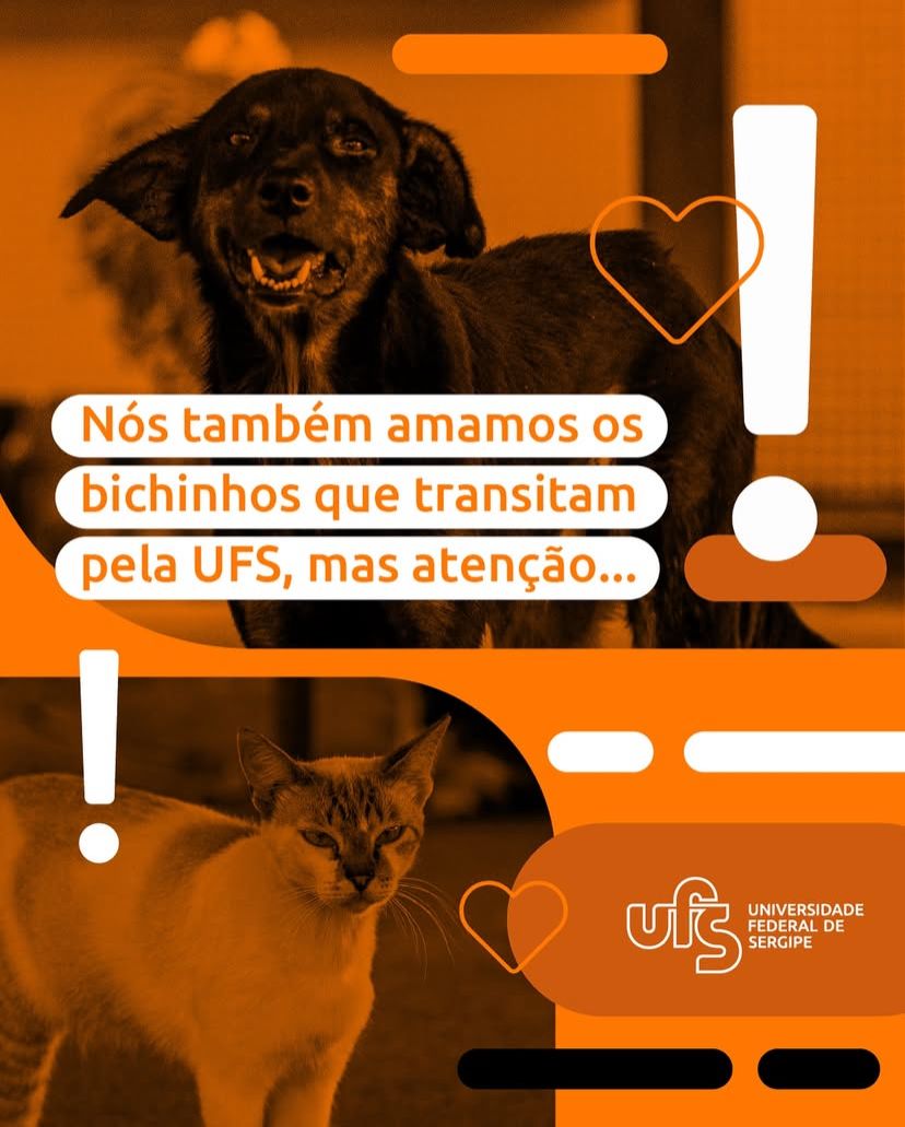 Identidade Visual Alerta Animaizinhos UFS